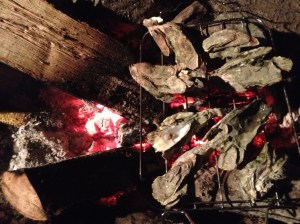 Oysters roasting away.