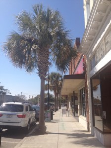 Sunny Downtown Beaufort.