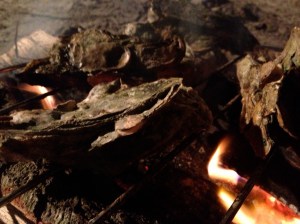 Fire, Wood and Oysters.