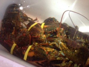 Thought I got a pic of them grilled but guess not...believe me, they were GOOOOD;)